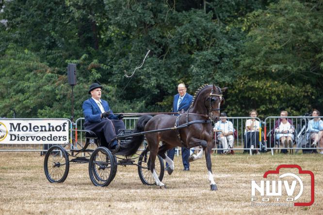 Landgoed Zwaluwenburg 't Harde vormt decor voor Fokdag en Concours van Warmbloedpaarden fokvereniging Oldebroek e.o. - &copy; NWVFoto.nl