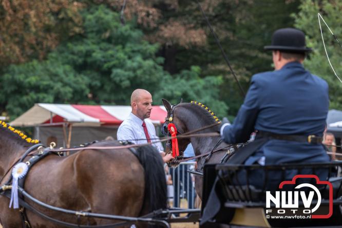 Landgoed Zwaluwenburg 't Harde vormt decor voor Fokdag en Concours van Warmbloedpaarden fokvereniging Oldebroek e.o. - &copy; NWVFoto.nl