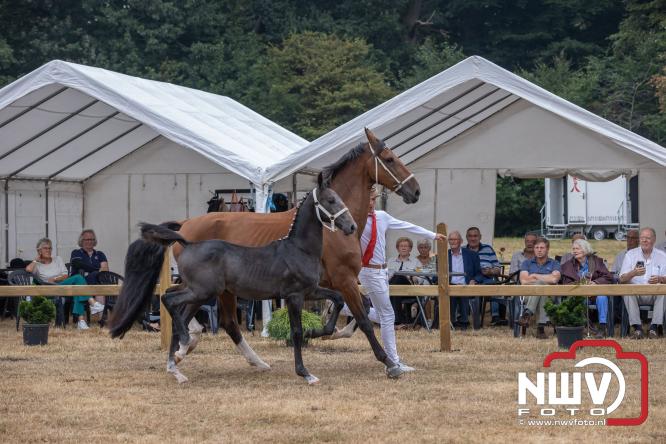 Landgoed Zwaluwenburg 't Harde vormt decor voor Fokdag en Concours van Warmbloedpaarden fokvereniging Oldebroek e.o. - &copy; NWVFoto.nl