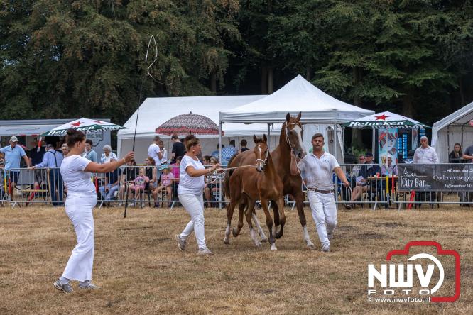 Landgoed Zwaluwenburg 't Harde vormt decor voor Fokdag en Concours van Warmbloedpaarden fokvereniging Oldebroek e.o. - &copy; NWVFoto.nl