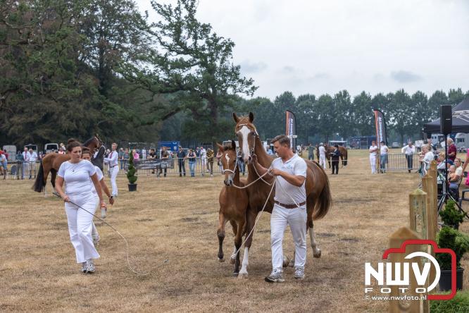 Landgoed Zwaluwenburg 't Harde vormt decor voor Fokdag en Concours van Warmbloedpaarden fokvereniging Oldebroek e.o. - &copy; NWVFoto.nl