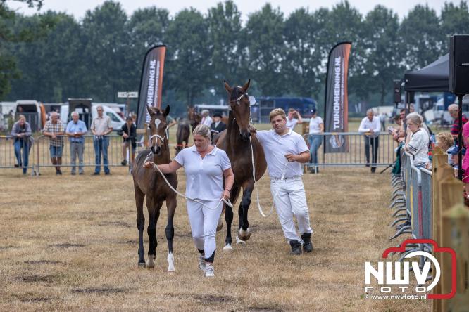 Landgoed Zwaluwenburg 't Harde vormt decor voor Fokdag en Concours van Warmbloedpaarden fokvereniging Oldebroek e.o. - &copy; NWVFoto.nl