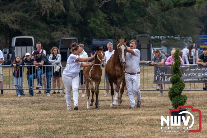 Landgoed Zwaluwenburg 't Harde vormt decor voor Fokdag en Concours van Warmbloedpaarden fokvereniging Oldebroek e.o. - &copy; NWVFoto.nl