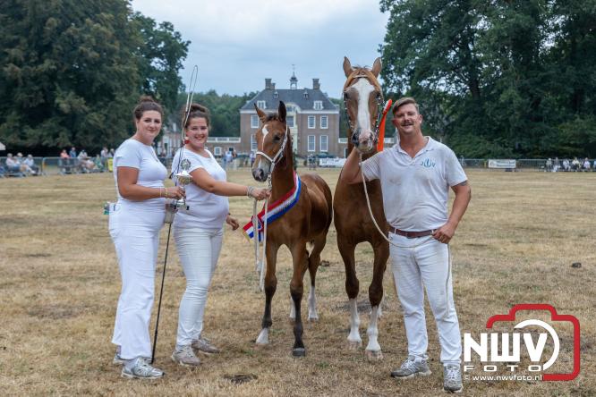 Landgoed Zwaluwenburg 't Harde vormt decor voor Fokdag en Concours van Warmbloedpaarden fokvereniging Oldebroek e.o. - &copy; NWVFoto.nl