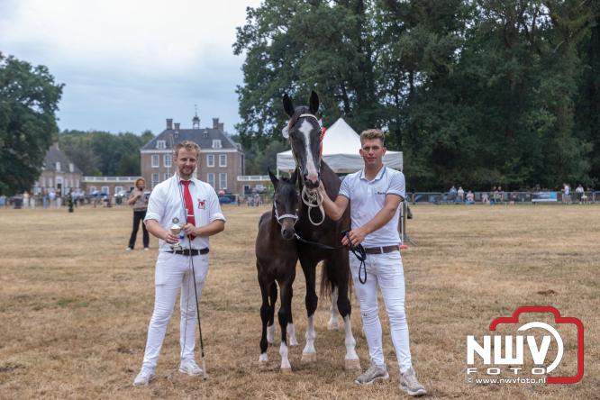 Landgoed Zwaluwenburg 't Harde vormt decor voor Fokdag en Concours van Warmbloedpaarden fokvereniging Oldebroek e.o. - &copy; NWVFoto.nl