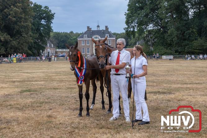 Landgoed Zwaluwenburg 't Harde vormt decor voor Fokdag en Concours van Warmbloedpaarden fokvereniging Oldebroek e.o. - &copy; NWVFoto.nl
