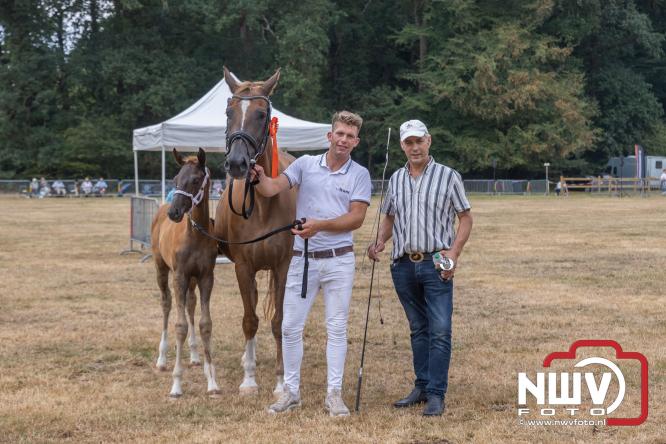 Landgoed Zwaluwenburg 't Harde vormt decor voor Fokdag en Concours van Warmbloedpaarden fokvereniging Oldebroek e.o. - &copy; NWVFoto.nl