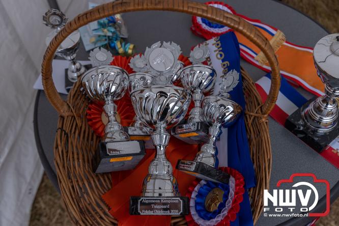 Landgoed Zwaluwenburg 't Harde vormt decor voor Fokdag en Concours van Warmbloedpaarden fokvereniging Oldebroek e.o. - &copy; NWVFoto.nl