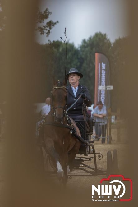 Landgoed Zwaluwenburg 't Harde vormt decor voor Fokdag en Concours van Warmbloedpaarden fokvereniging Oldebroek e.o. - &copy; NWVFoto.nl