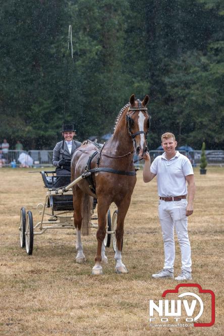 Landgoed Zwaluwenburg 't Harde vormt decor voor Fokdag en Concours van Warmbloedpaarden fokvereniging Oldebroek e.o. - &copy; NWVFoto.nl