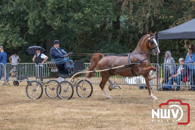 Landgoed Zwaluwenburg 't Harde vormt decor voor Fokdag en Concours van Warmbloedpaarden fokvereniging Oldebroek e.o. - &copy; NWVFoto.nl