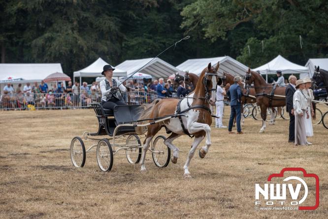Landgoed Zwaluwenburg 't Harde vormt decor voor Fokdag en Concours van Warmbloedpaarden fokvereniging Oldebroek e.o. - &copy; NWVFoto.nl