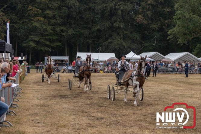Landgoed Zwaluwenburg 't Harde vormt decor voor Fokdag en Concours van Warmbloedpaarden fokvereniging Oldebroek e.o. - &copy; NWVFoto.nl