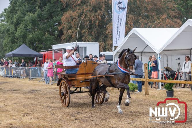 Landgoed Zwaluwenburg 't Harde vormt decor voor Fokdag en Concours van Warmbloedpaarden fokvereniging Oldebroek e.o. - &copy; NWVFoto.nl