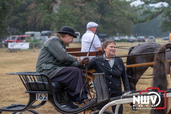 Landgoed Zwaluwenburg 't Harde vormt decor voor Fokdag en Concours van Warmbloedpaarden fokvereniging Oldebroek e.o. - &copy; NWVFoto.nl
