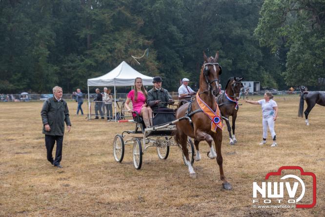 Landgoed Zwaluwenburg 't Harde vormt decor voor Fokdag en Concours van Warmbloedpaarden fokvereniging Oldebroek e.o. - &copy; NWVFoto.nl