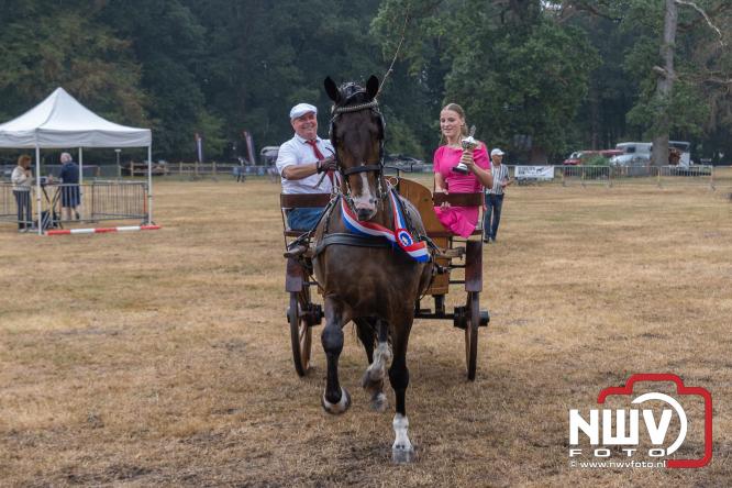 Landgoed Zwaluwenburg 't Harde vormt decor voor Fokdag en Concours van Warmbloedpaarden fokvereniging Oldebroek e.o. - &copy; NWVFoto.nl