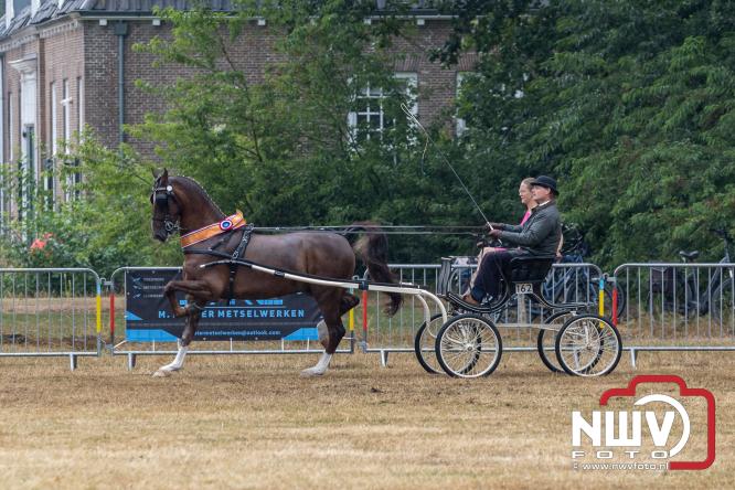 Landgoed Zwaluwenburg 't Harde vormt decor voor Fokdag en Concours van Warmbloedpaarden fokvereniging Oldebroek e.o. - &copy; NWVFoto.nl