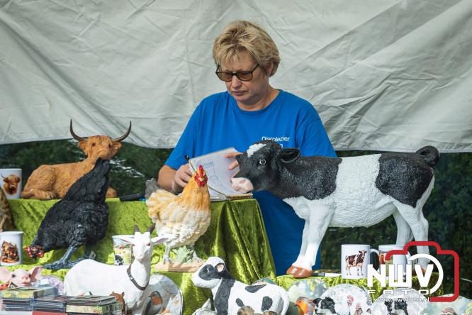 Traditie en gezelligheid komen samen tijdens de Schapenmarkt in Oldebroek. - &copy; NWVFoto.nl