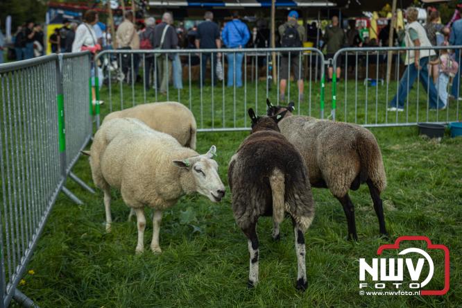 Traditie en gezelligheid komen samen tijdens de Schapenmarkt in Oldebroek. - &copy; NWVFoto.nl