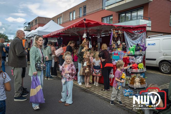 Traditie en gezelligheid komen samen tijdens de Schapenmarkt in Oldebroek. - &copy; NWVFoto.nl