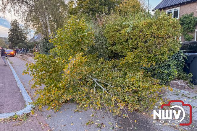 Eenzijdig ongeval met vrachtwagen door onwel wording bestuurder, N309 Zuiderzeestraatweg Oostendorp. - &copy; NWVFoto.nl