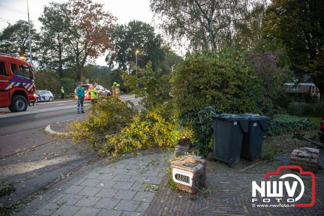 Eenzijdig ongeval met vrachtwagen door onwel wording bestuurder, N309 Zuiderzeestraatweg Oostendorp. - &copy; NWVFoto.nl