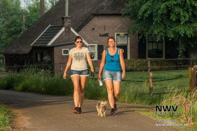 Avondwandel Vier Daagse Doornspijk maandagavond. - © NWVFoto.nl