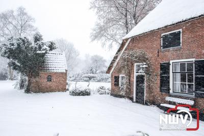 Sneeuw zorgt voor mooie plaatjes op 'tHarde. - © NWVFoto.nl