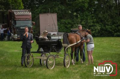 37e Tuigpaardenconcours Doornspijk. - © NWVFoto.nl