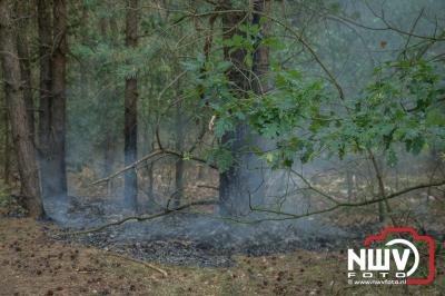 Wandelaar voorkomt door snel handelen dat er weer een grote bosbrand op 'tHarde zou ontstaan. - © NWVFoto.nl