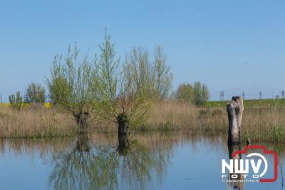 Mooi stuk natuurgebied gekeerd door de aanleg van het Revediep. - © NWVFoto.nl